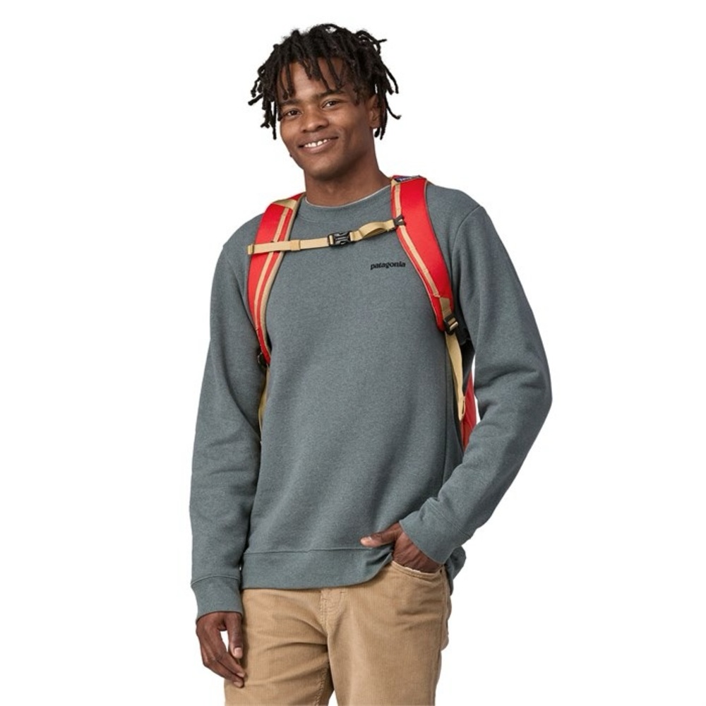 NWT Patagonia Black Hole 25L Pack Backpack Work Computer Bag Travel Outdoor - Picture 7 of 15